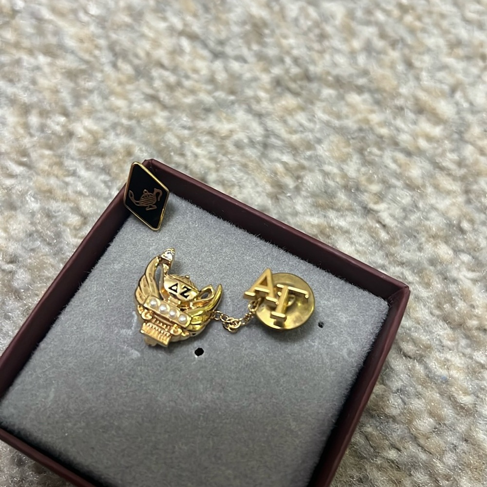 2 Delta Zeta Pins